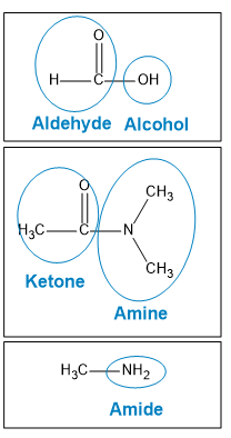 Structures of aldehyde, alcohol, ketone, and amine with labels.