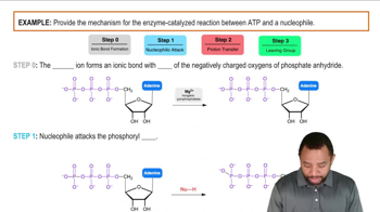 Chemical Reactions of Phosphate Anhydrides Example 1