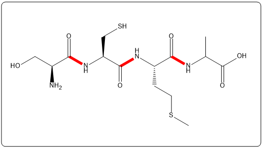 Structure of tetrapeptide Ser-Cys-Met-Asp with peptide bonds highlighted in red.