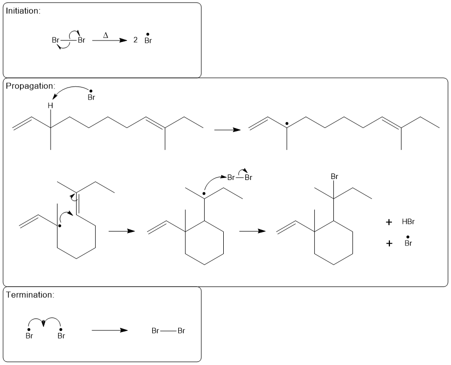 Detailed mechanism of allylic bromination with initiation, propagation, and termination steps.