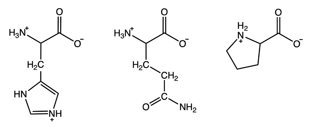 Tripeptide structure showing three amino acids with labels for each in a molecular diagram.