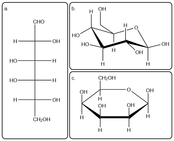 Fischer projection of D-galactose with hydroxyl groups and aldehyde.