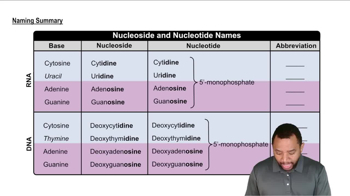 Naming Nucleosides and Nucleotides Concept 3