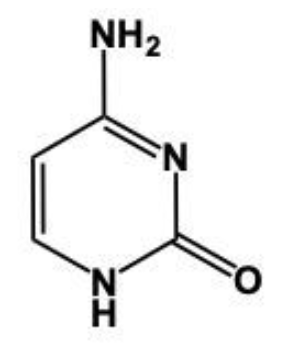 nitrogenouse base structure