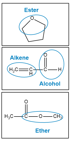 Three organic structures labeled: Ester, Alkene, and Alcohol with functional groups circled.