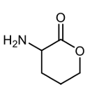 amino acid molecular structure