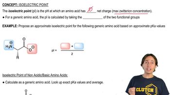 Definition of Isoelectric Point