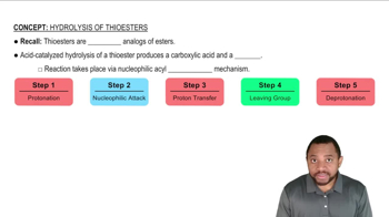 Hydrolysis of Thioesters Concept 1