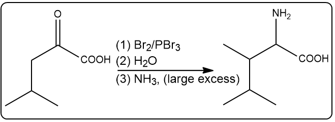 Synthesis steps for an amino acid using Br2/PBr3, H2O, and NH3.