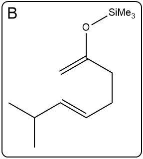 Structure B of the Ireland-Claisen reaction, showing the product after heating.