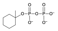 final product structure