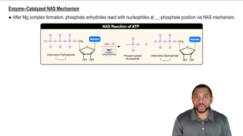 Chemical Reactions of Phosphate Anhydrides Concept 2