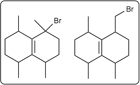 Two major monobrominated products resulting from the reaction with NBS.