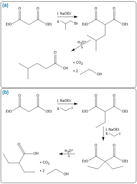 Answer Option B