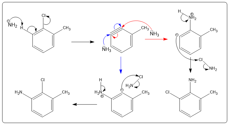 Illustration of nucleophilic aromatic substitution mechanism with 1-chloro-2-methylbenzene and sodium amide.