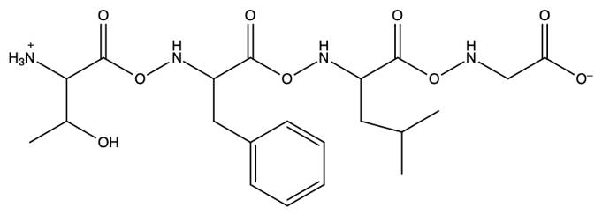 Peptide chain structure with a hydroxyl group at the N terminus.