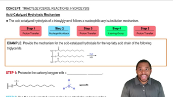 Triacylglycerol Reactions: Hydrolysis Concept 4