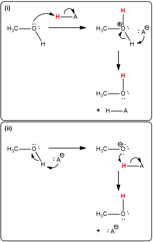 Mechanism of proton exchange in methanol under basic conditions.