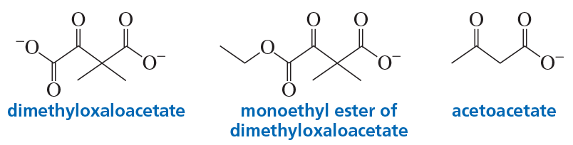Structures of dimethyloxaloacetate, monoethyl ester of dimethyloxaloacetate, and acetoacetate with labels.