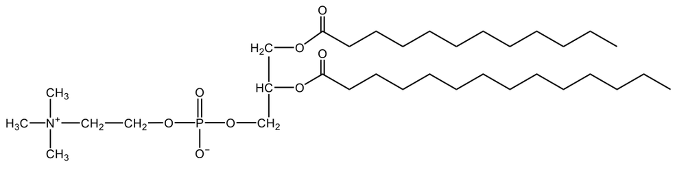 Diagram of a glycerophospholipid with lauric acid, myristic acid, and choline phosphate.