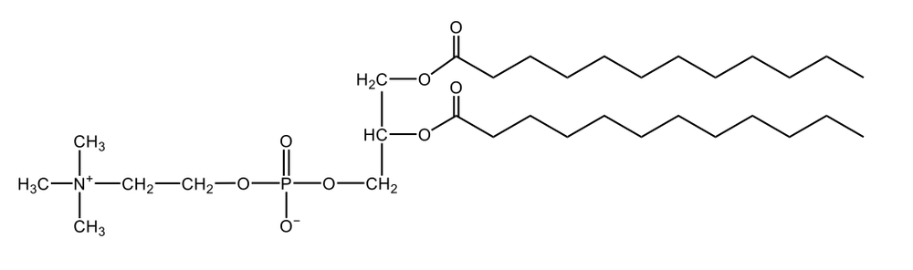 glycerophospholipid