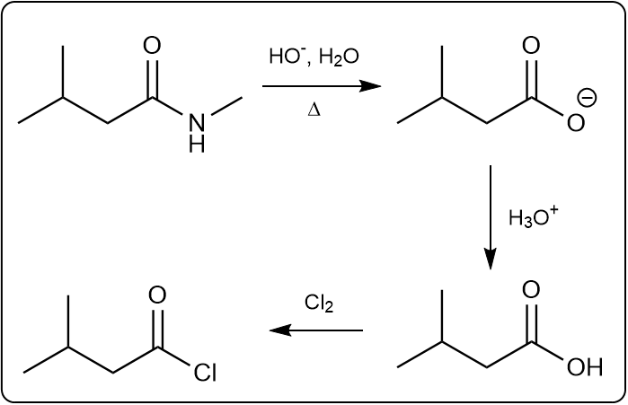 Reaction mechanism for ester hydrolysis with H3O+ and Cl2 as reagents.