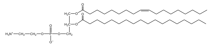 cephalin