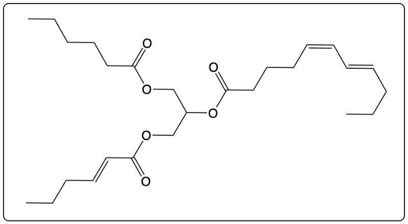 Chemical structure of a triglyceride with double bonds, no reaction indicated.