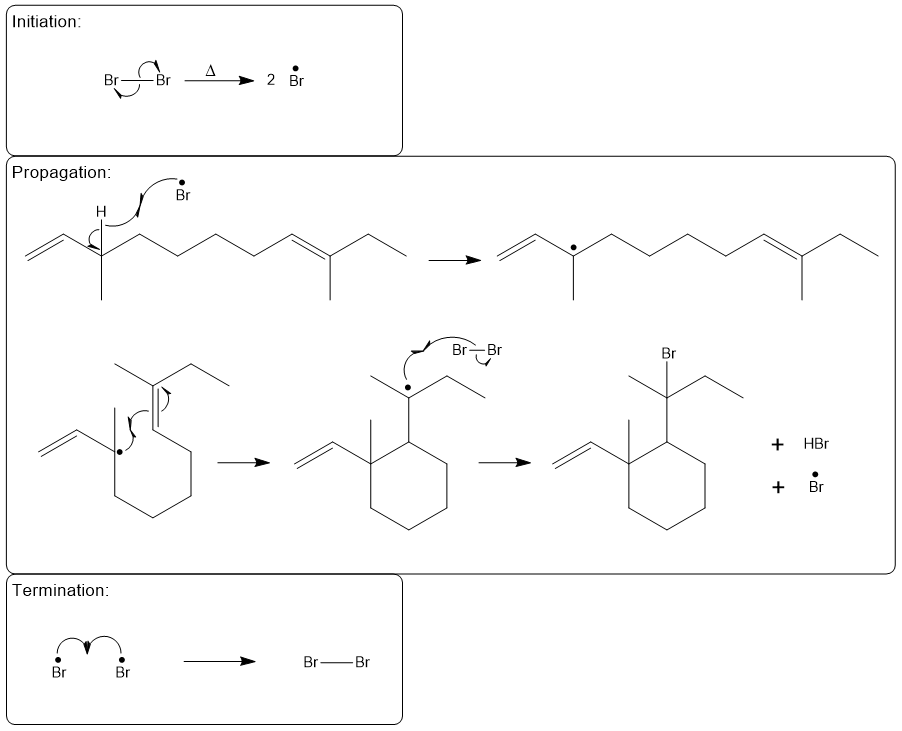 Detailed mechanism of allylic bromination with initiation, propagation, and termination steps.