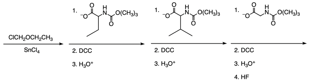 Merrifield synthesis pathway for Gly-Leu-Ser tripeptide.