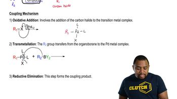 Suzuki Reaction