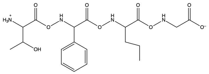 Peptide chain structure with a hydroxyl group and a phenyl group, showing ionic forms.