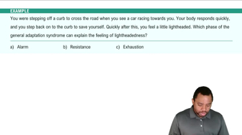 The General Adaptation Syndrome Example 2