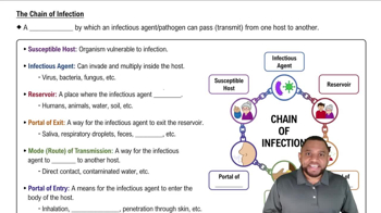 The Chain of Infection Concept 1