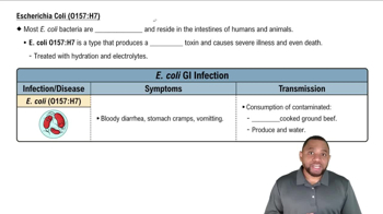 Escherichia Coli (O157:H7) Concept 4