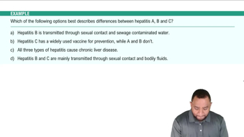 Hepatitis Example 2