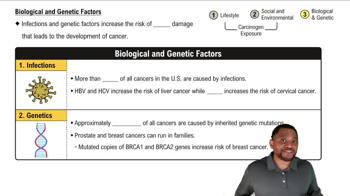 Biological and Genetic Factors Concept 3