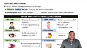Physical and Chemical Barriers Concept 1