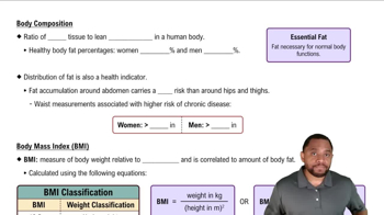 Body Composition Concept 1