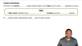 Complex Carbohydrates Concept 2