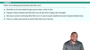 Mosquito-Borne Infections Example 3