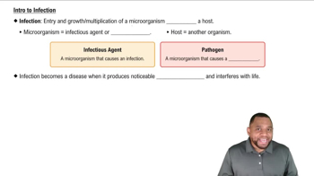 Intro to Infection Concept 1
