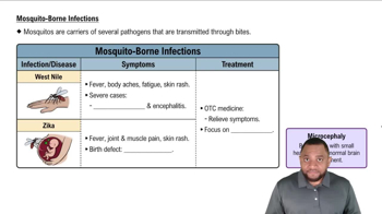 Mosquito-Borne Infections Concept 4