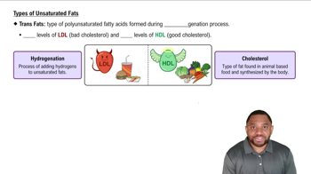 Trans Fats Concept 6