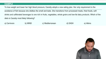 Healthy Diet Plans Example 4