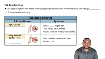 Tick-Borne Infections Concept 5