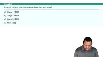 Stages of Sleep Example 2