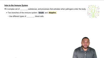 Intro to the Immune System Concept 2