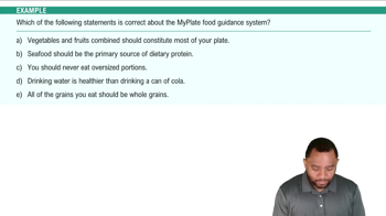MyPlate Food Guidance System Example 2
