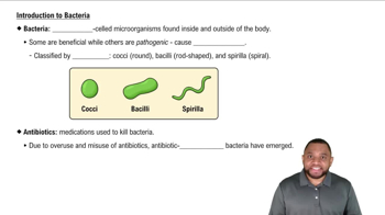 Introduction to Bacteria Concept 1
